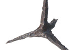 Caltrop